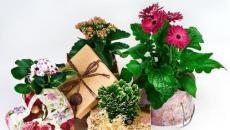 Как упаковать цветы в крафт-бумагу: подробные инструкции и лучшие идеи