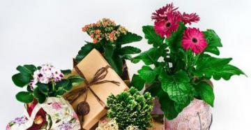 How to pack flowers in craft paper: detailed instructions and best ideas