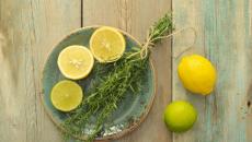 Herb tarragon (tarragon) photo, beneficial properties, recipe, application