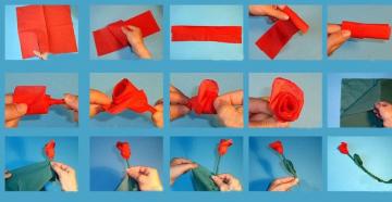 Do-it-yourself carnation from a napkin: master class, step-by-step instructions and photos How to make a carnation from napkins step by step