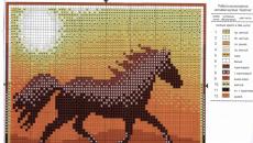 Pony - small horse - cross stitch